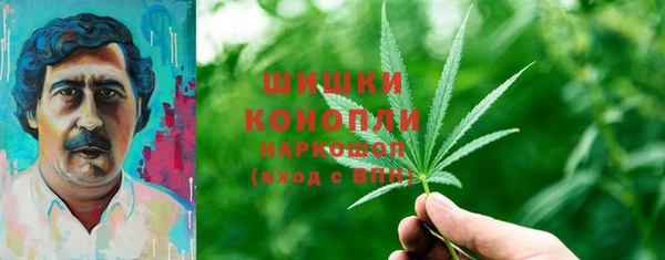 гидропоника Богородск