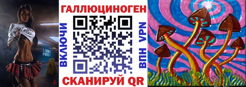 Галлюциногенные грибы Psilocybe  Минеральные Воды 